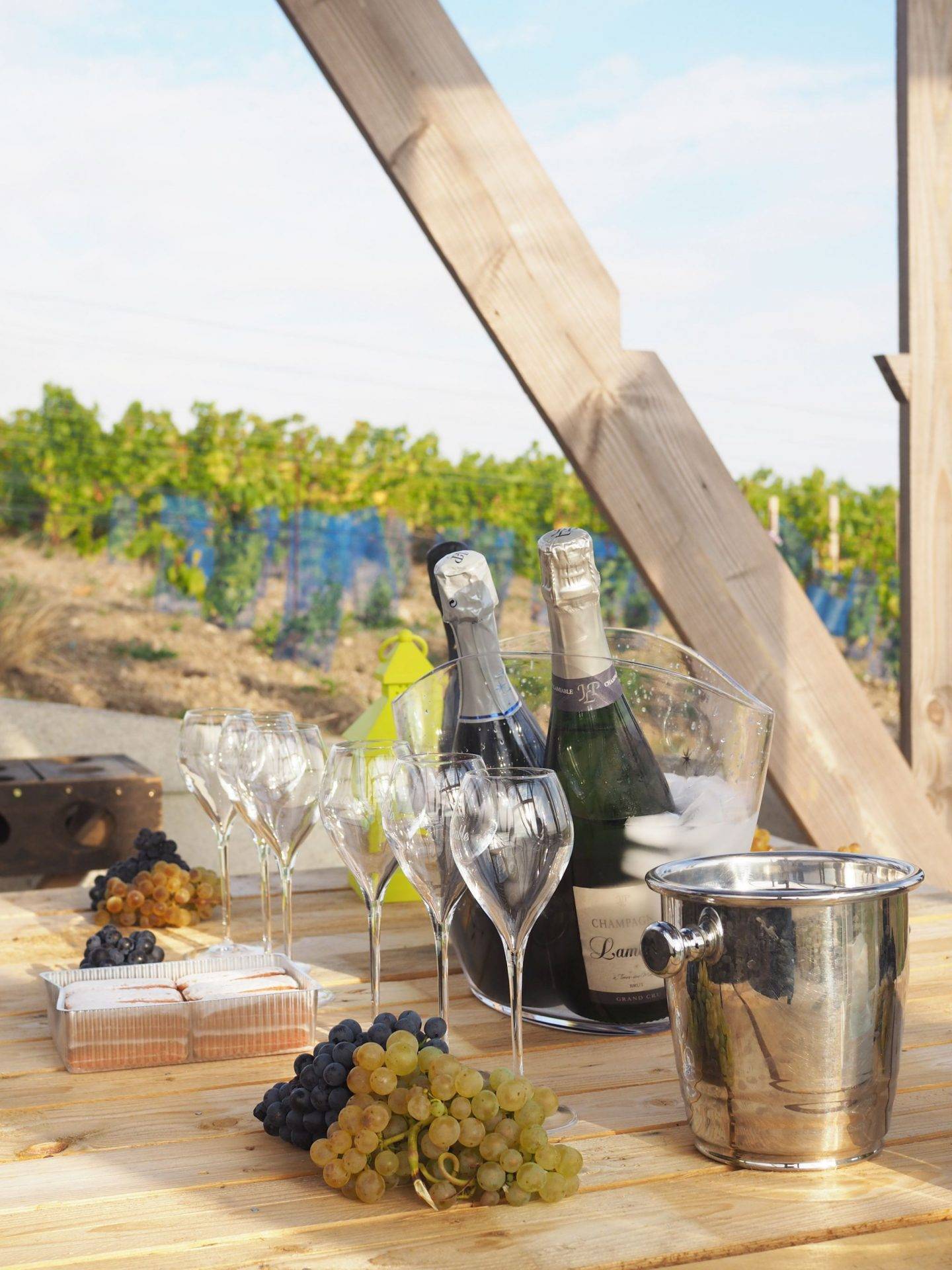  - Stroll in the heart of our vineyards of Tours sur Marne