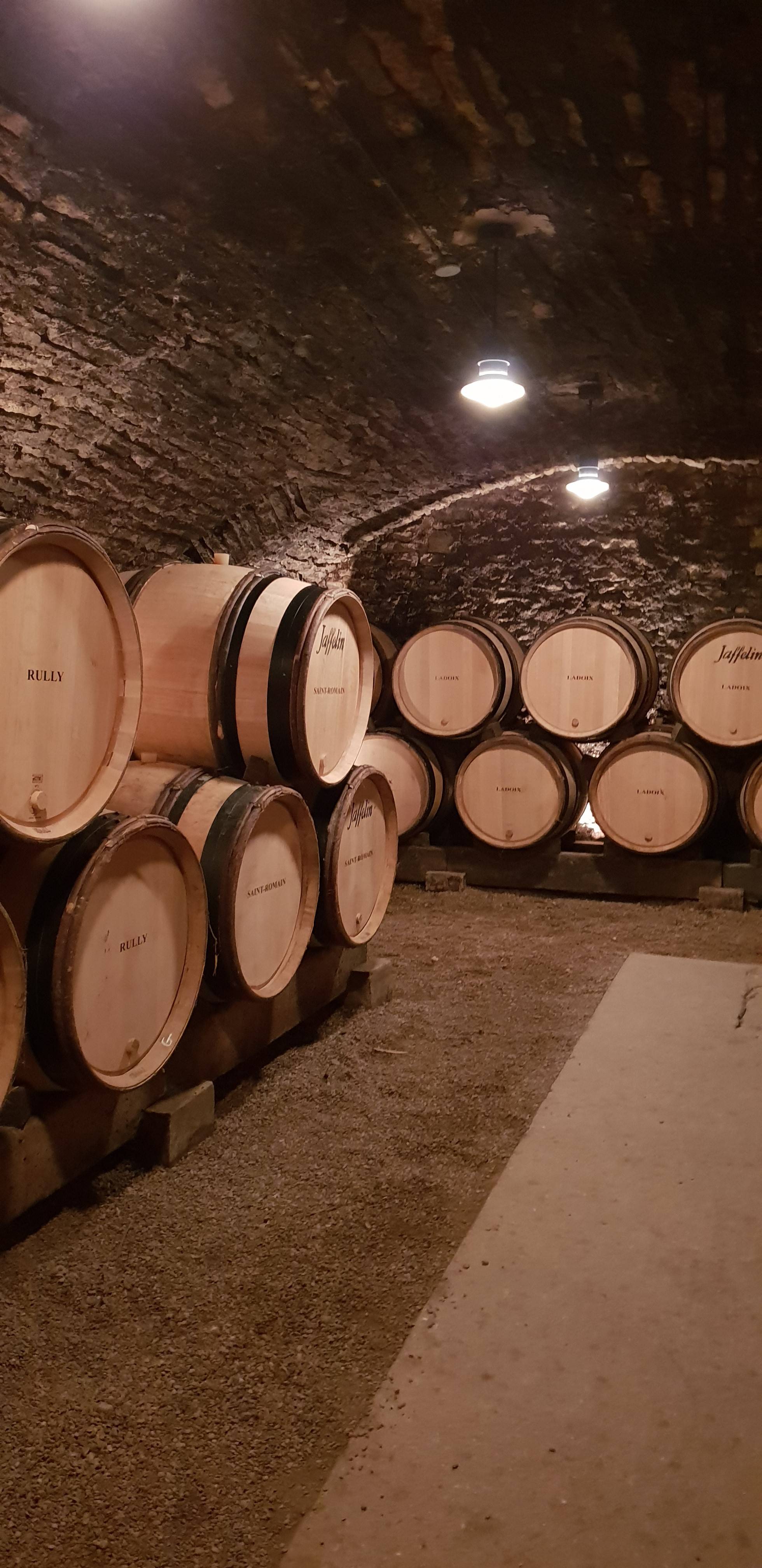  - Visit and tasting session of 5 wines