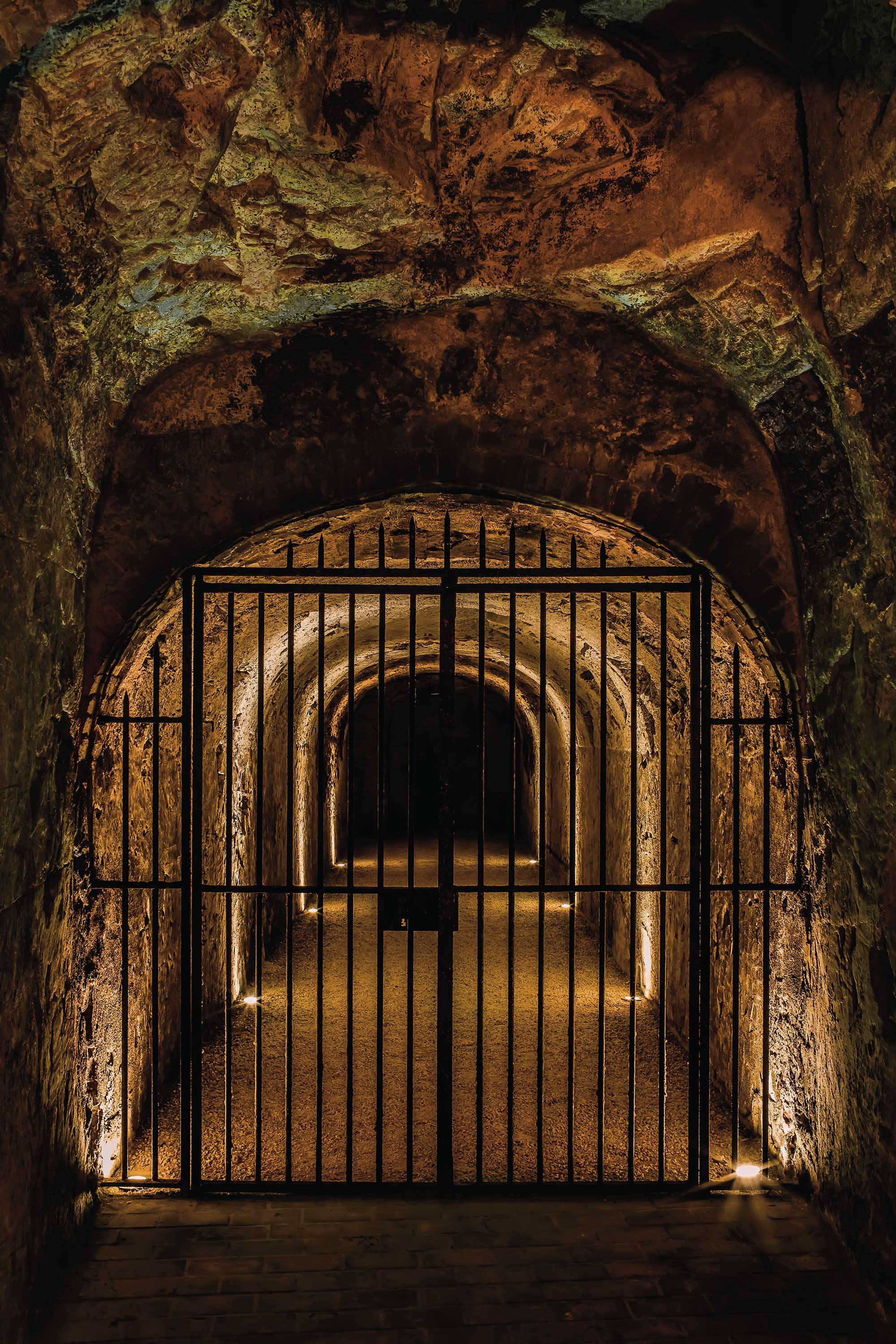 Champagne Moët & Chandon