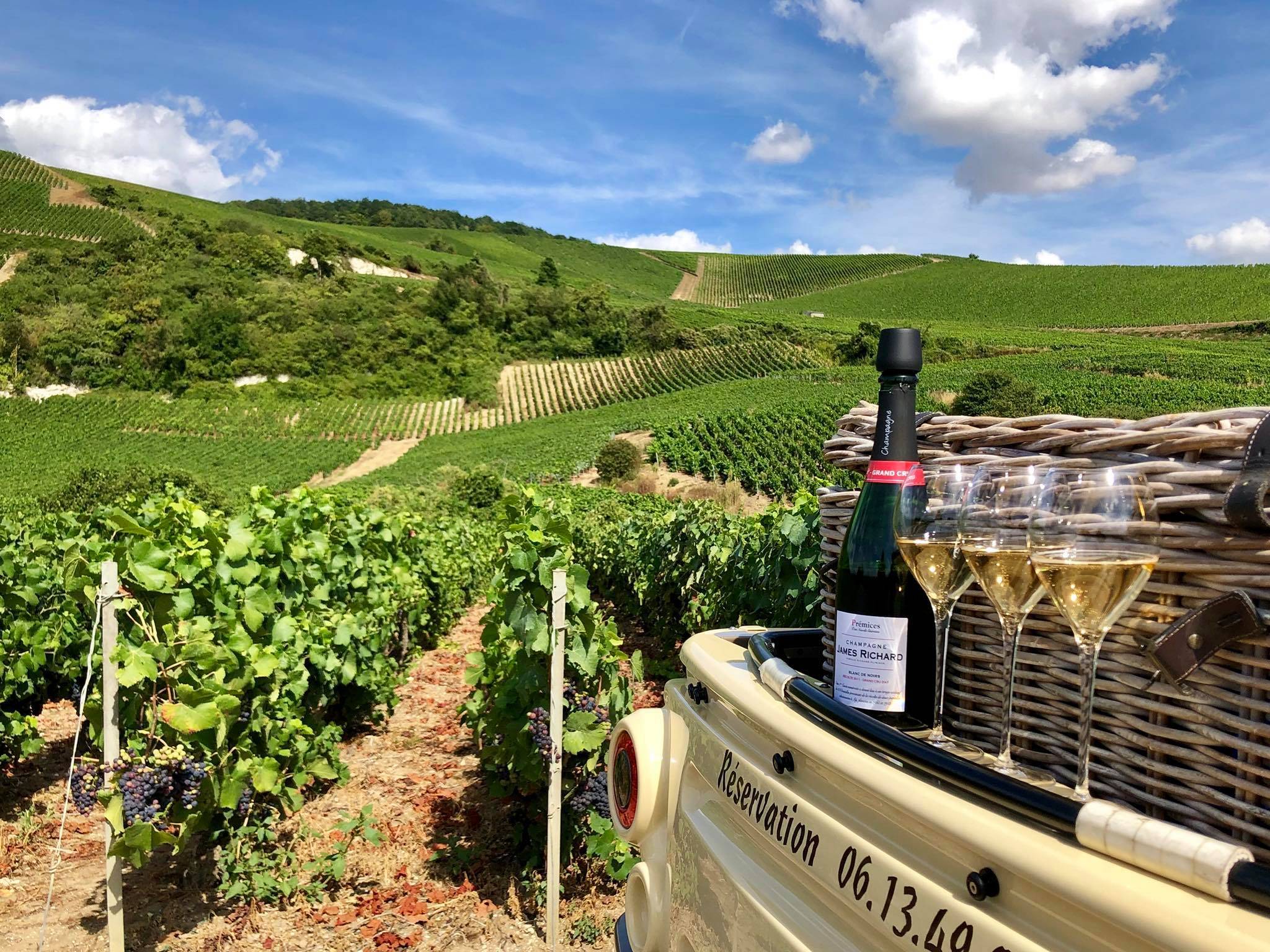 Aÿ éco Tour | Tasting