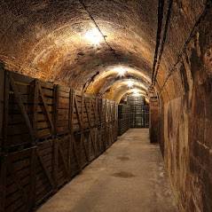 Cellar visit and tasting