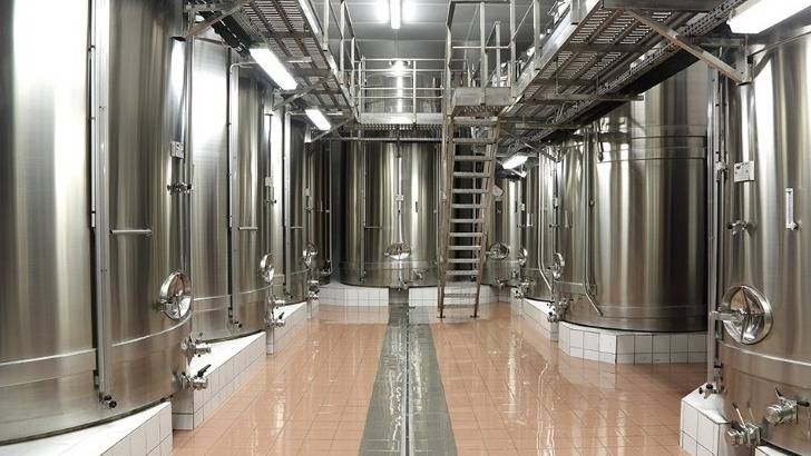 Cellar visit and tasting