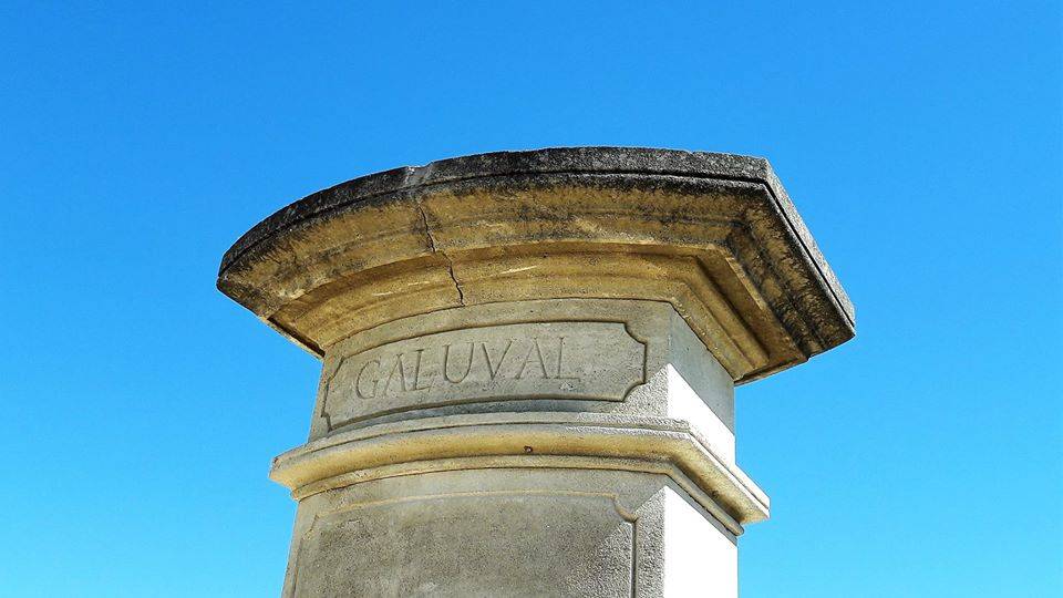  - Discovery: fun tasting