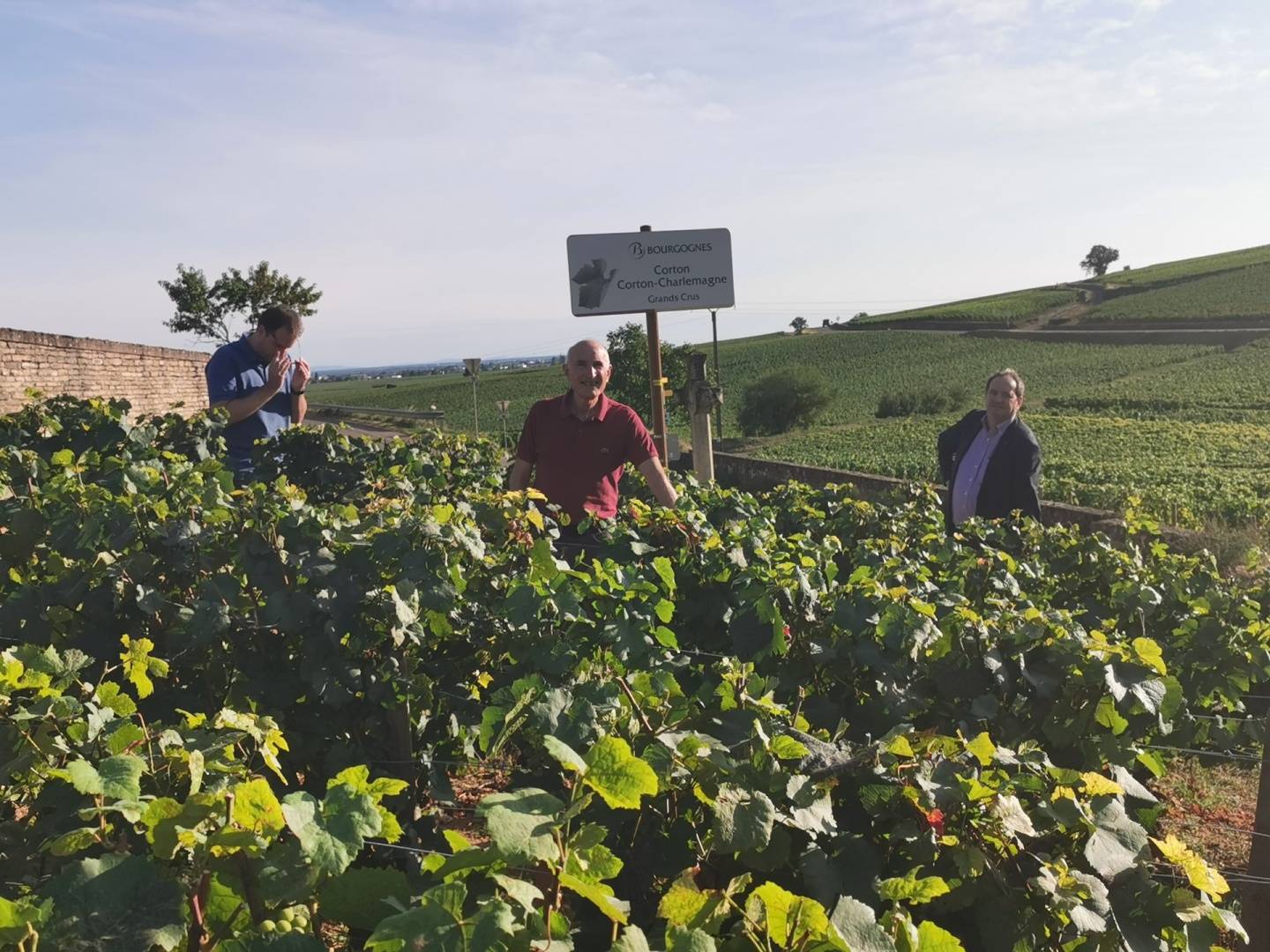 Les pieds dans la vigne, vivez la dégustation géo-sensorielle