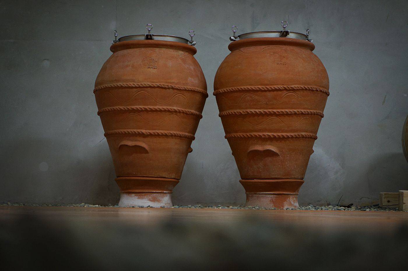  - Tour-tasting: From vine to wine