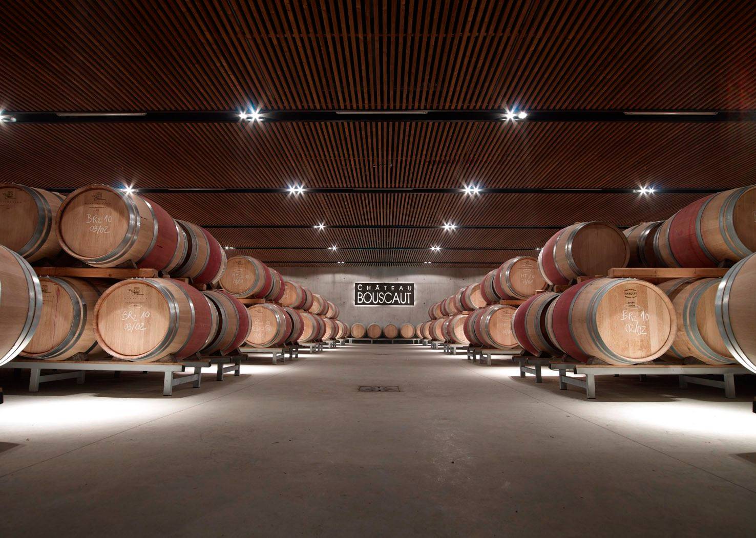  - Discover the vineyard and cellars