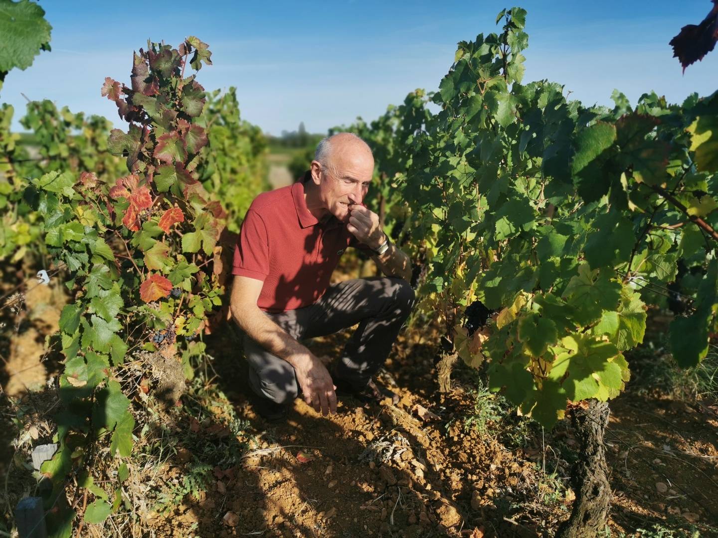 Au pied de la Colline de Corton, une journée au coeur des Grands Crus