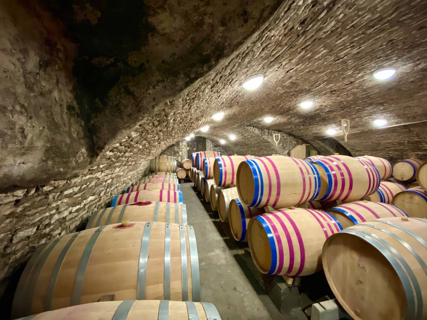  - Wine Getaway and picnic