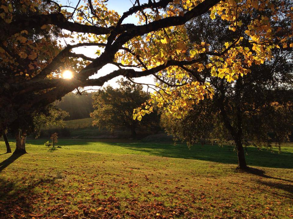  - A Thursday evening in the vineyard of Château Thieuley