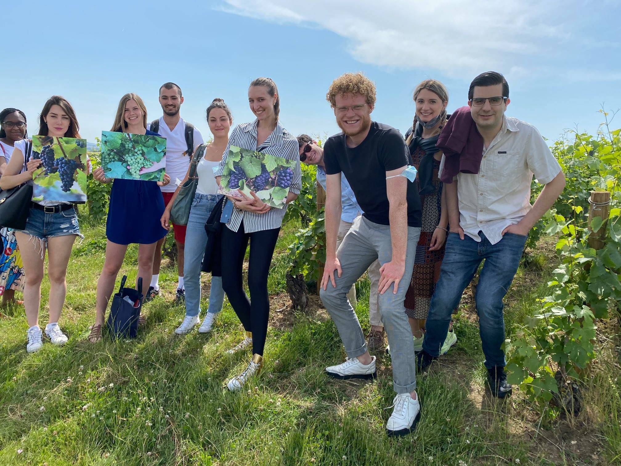  - Bucolic Picnic + VIP Tour 