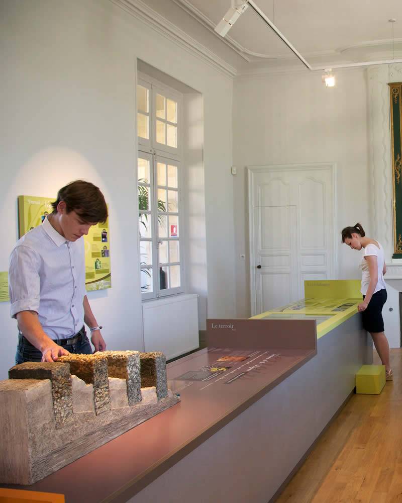  - Vine and wine ecomuseum