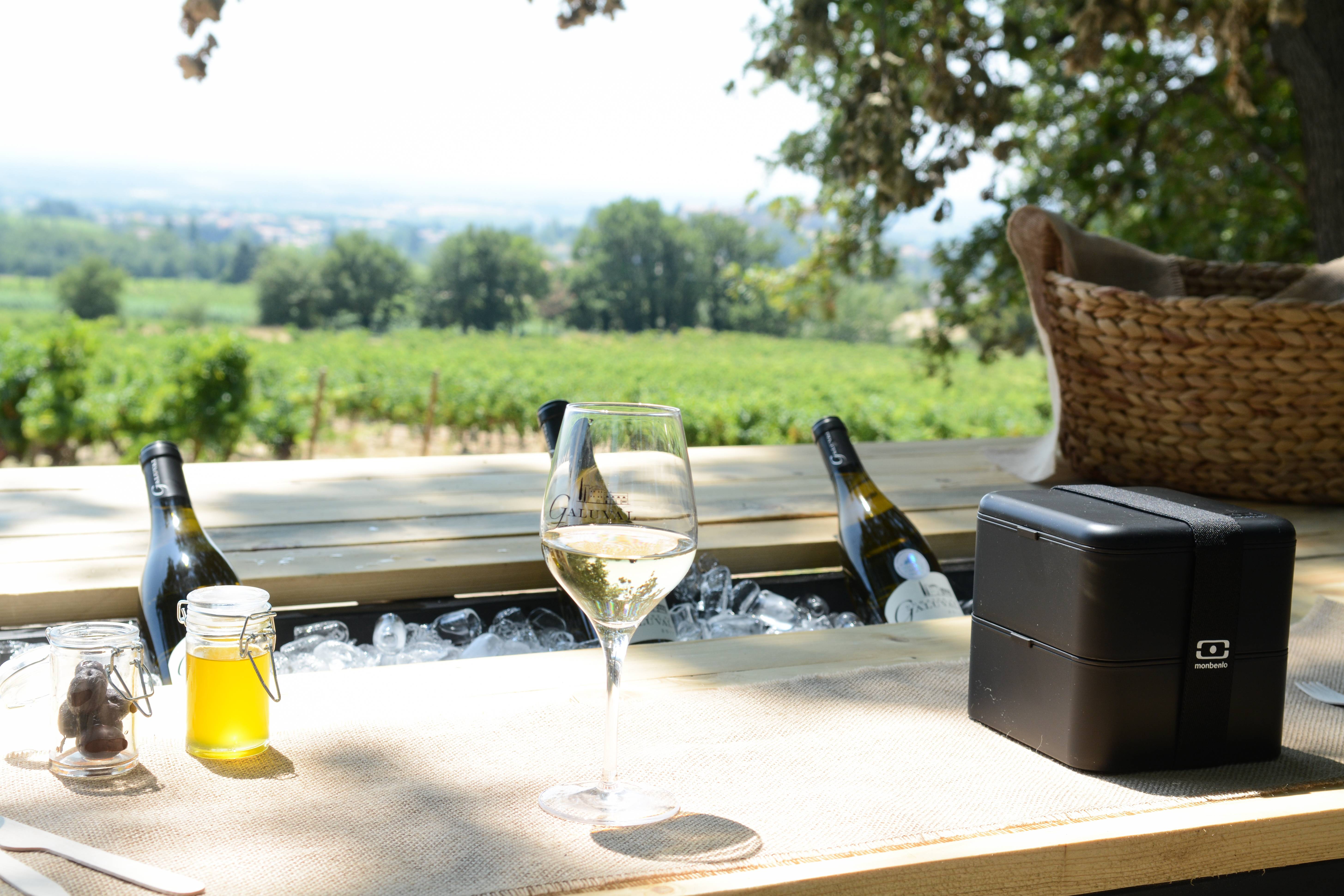  - The Panorama: Picnic in our secret vineyards