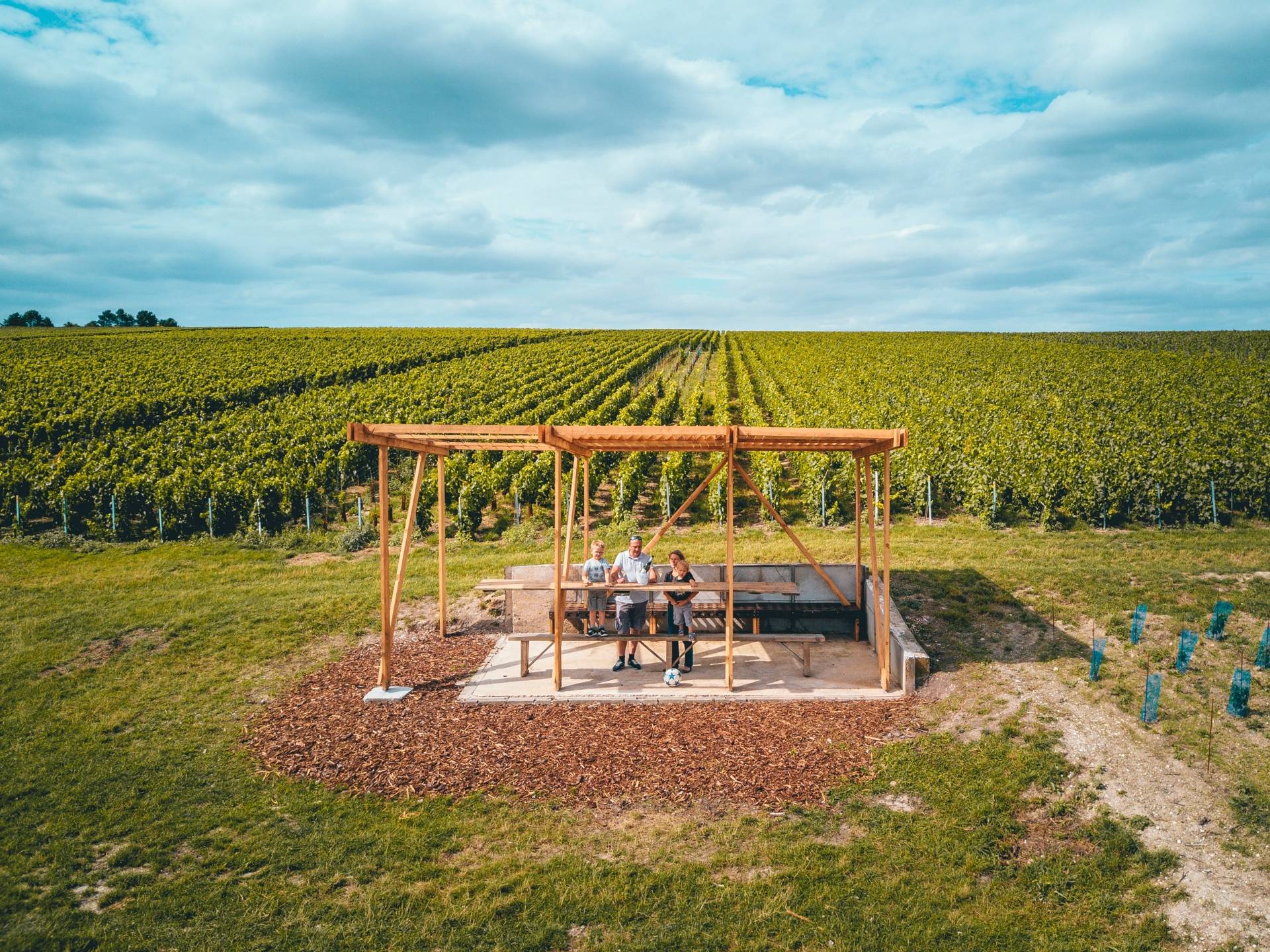 Stroll in the heart of our vineyards of Tours sur Marne