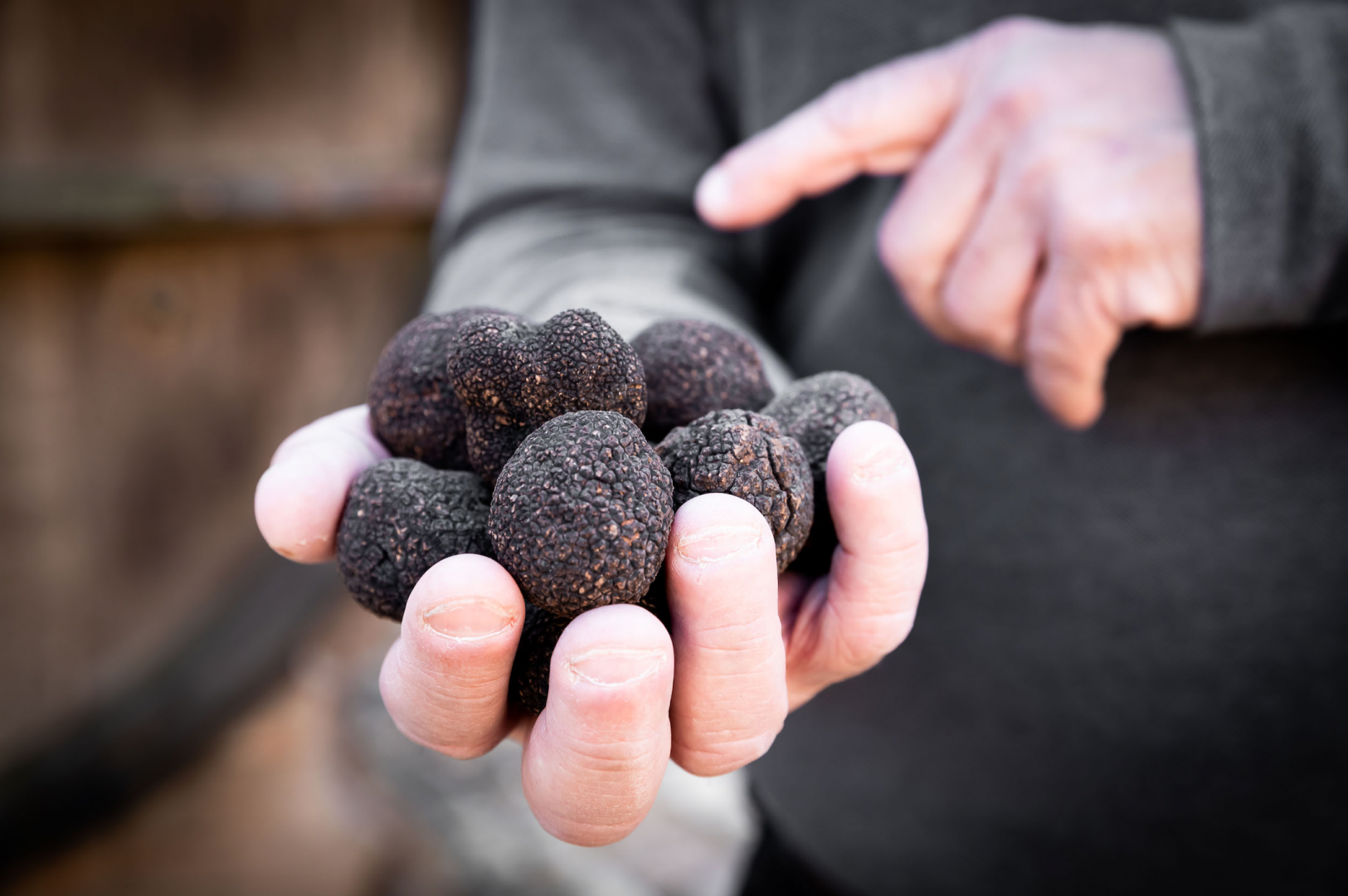  - Truffle Lunch Experience