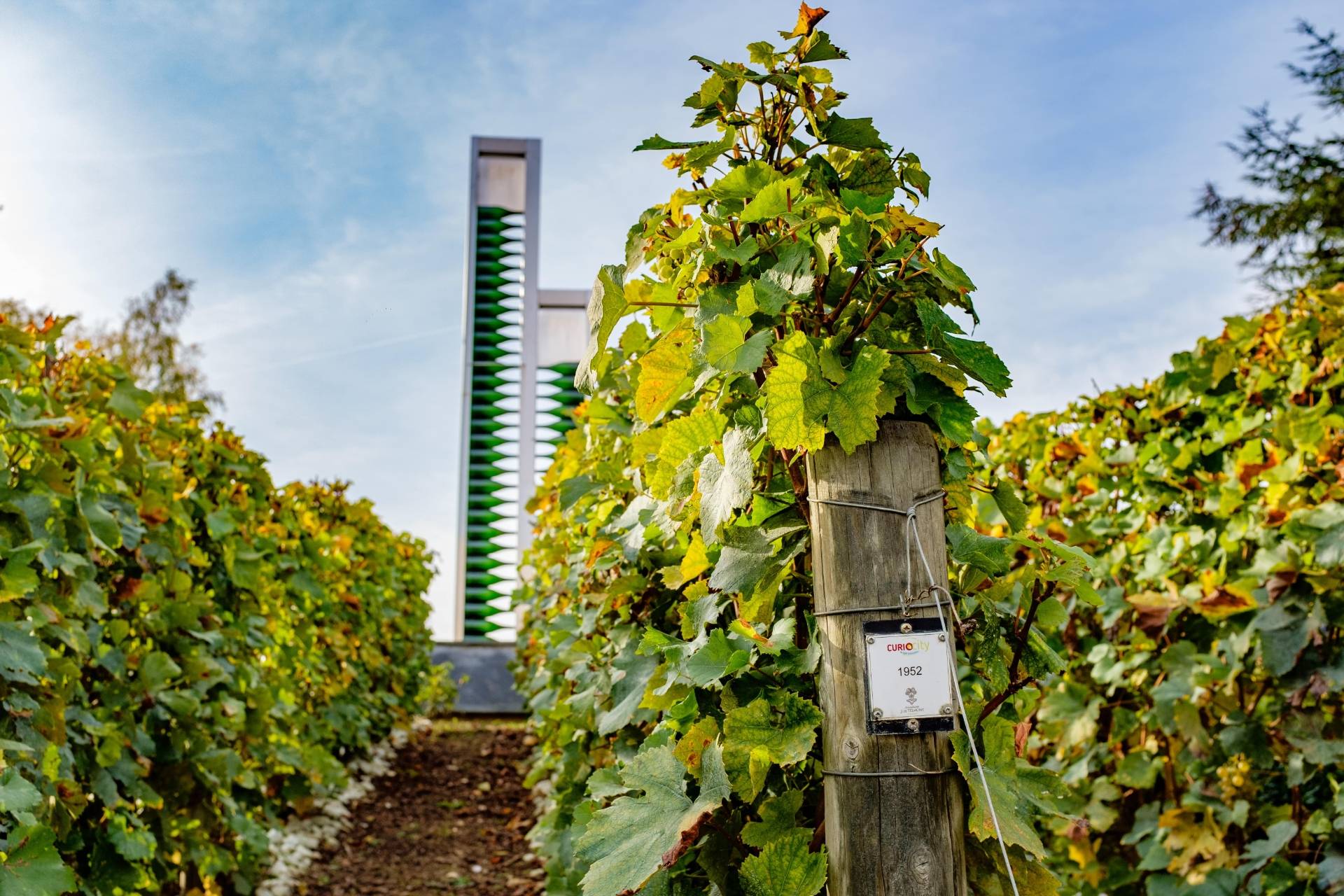 Puzzle Hunting trail Curiocity vineyard or village