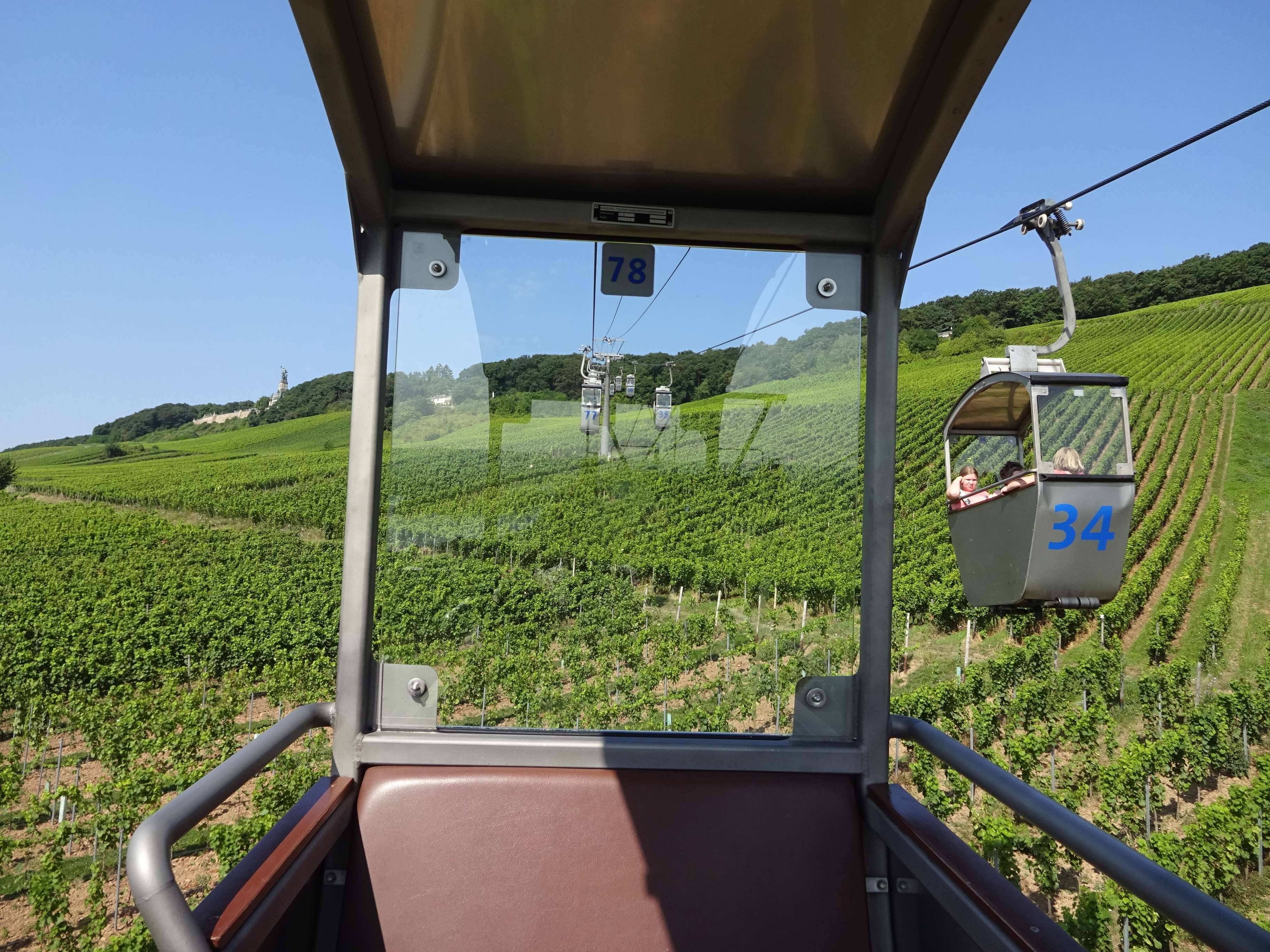  - Rheingau Wine Walking Tour