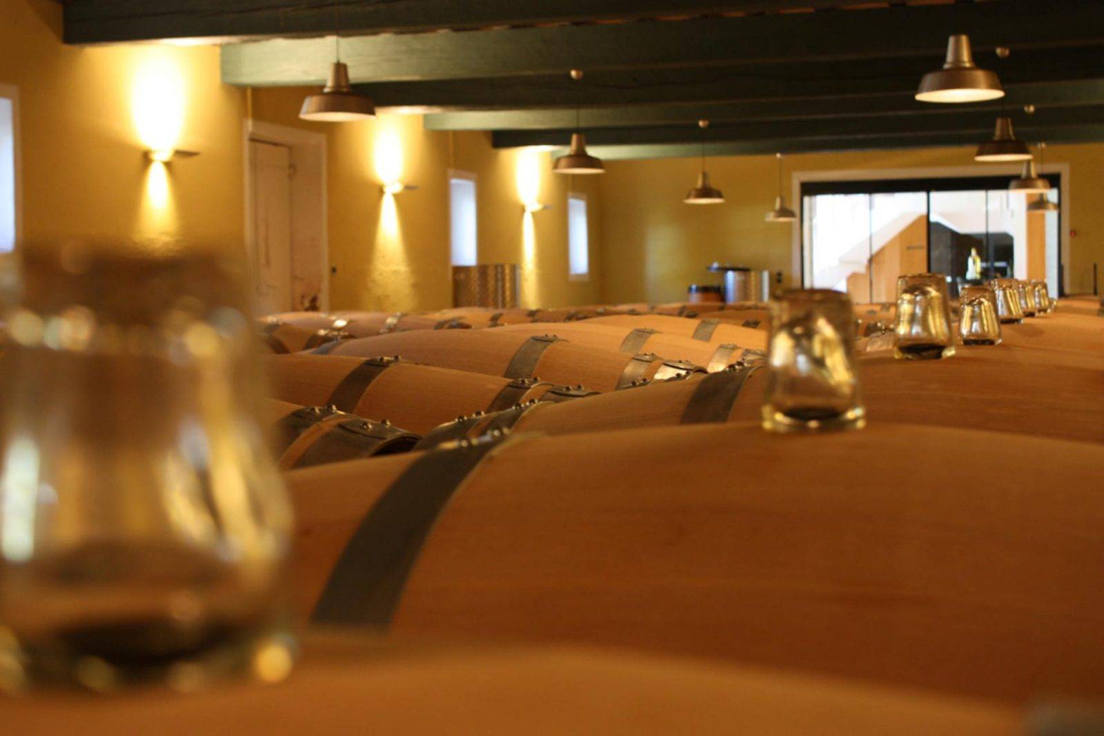  - The Discover Tasting