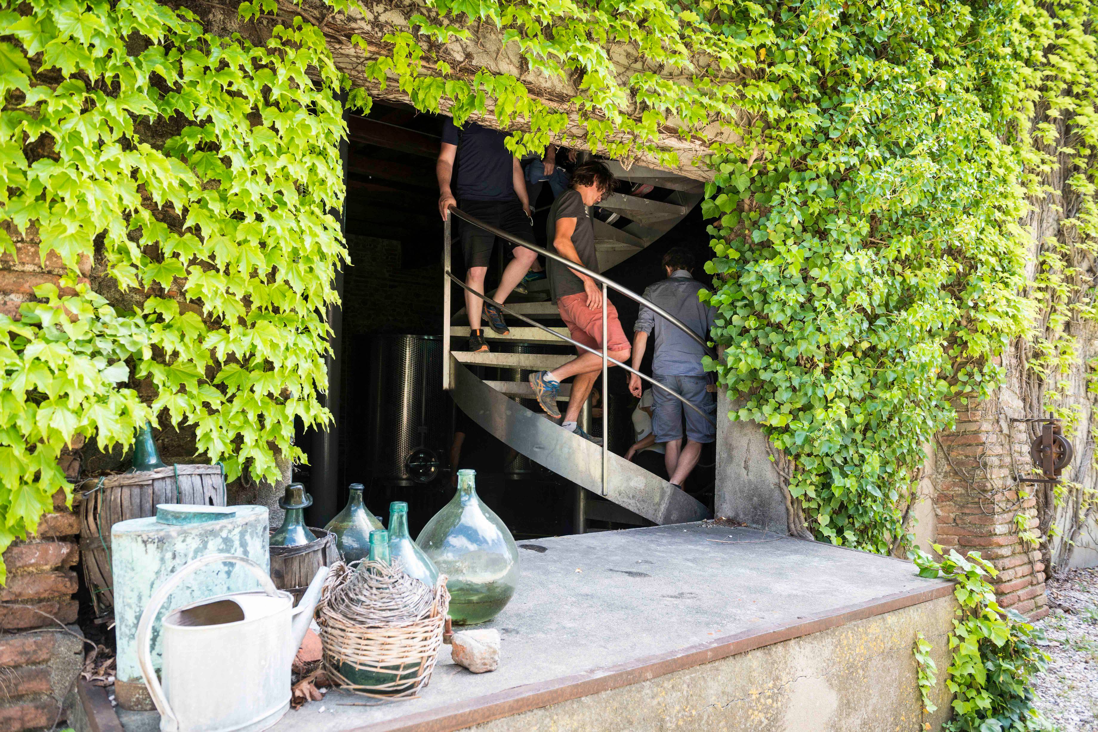  - Playful olfactory experience