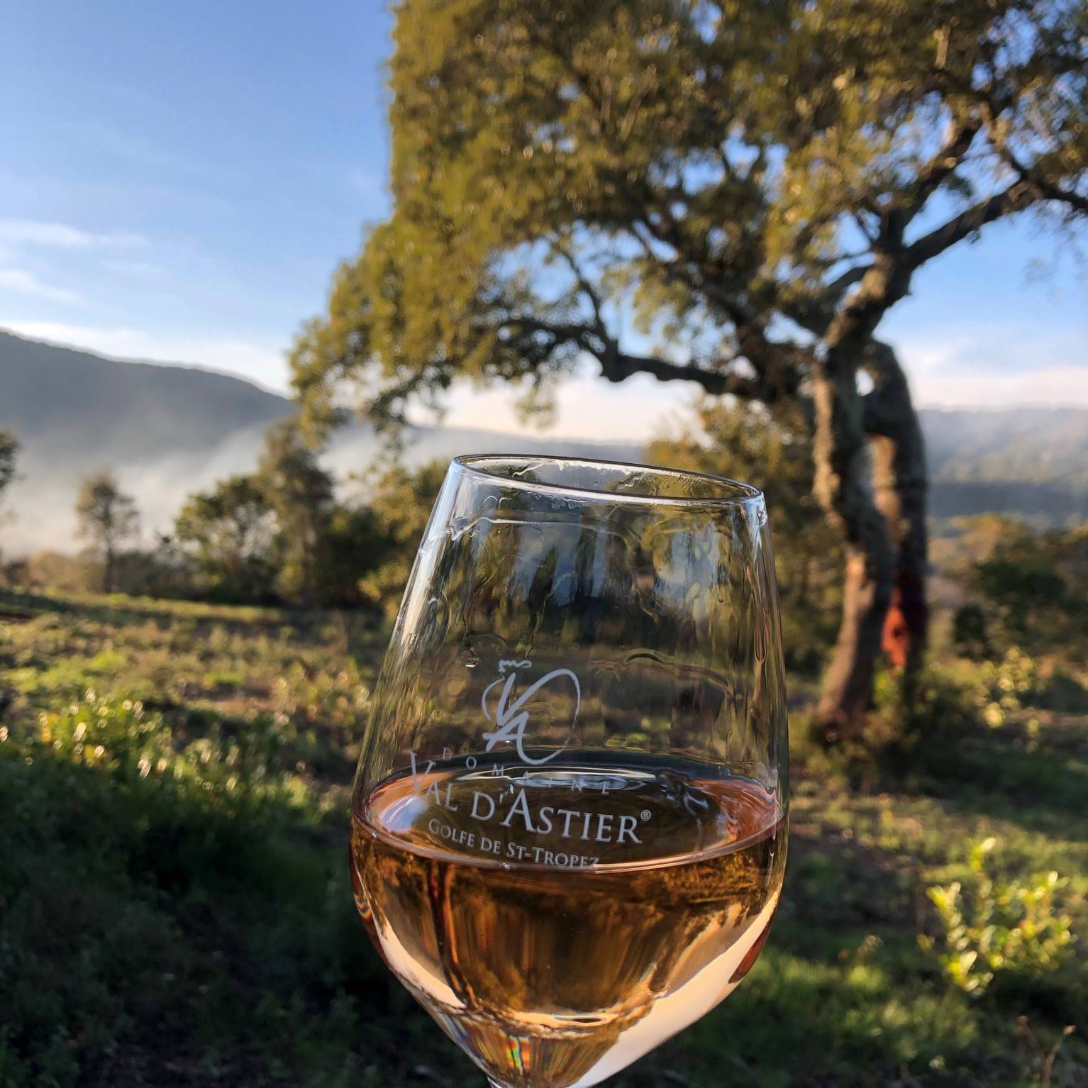  - Sunset tour on the vineyards