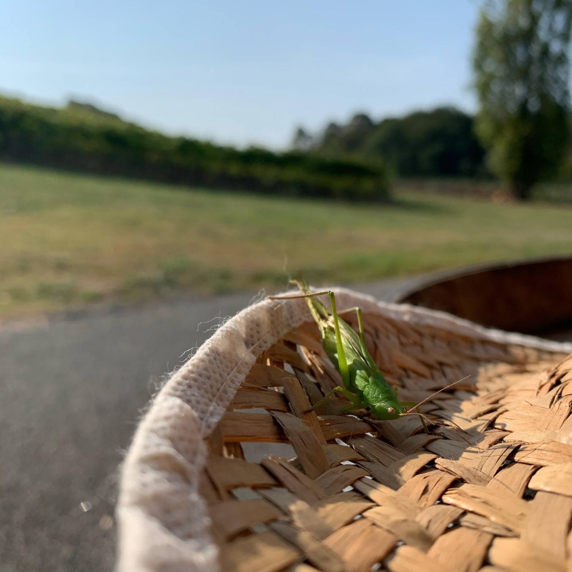  - Oenophile & tasty tour 