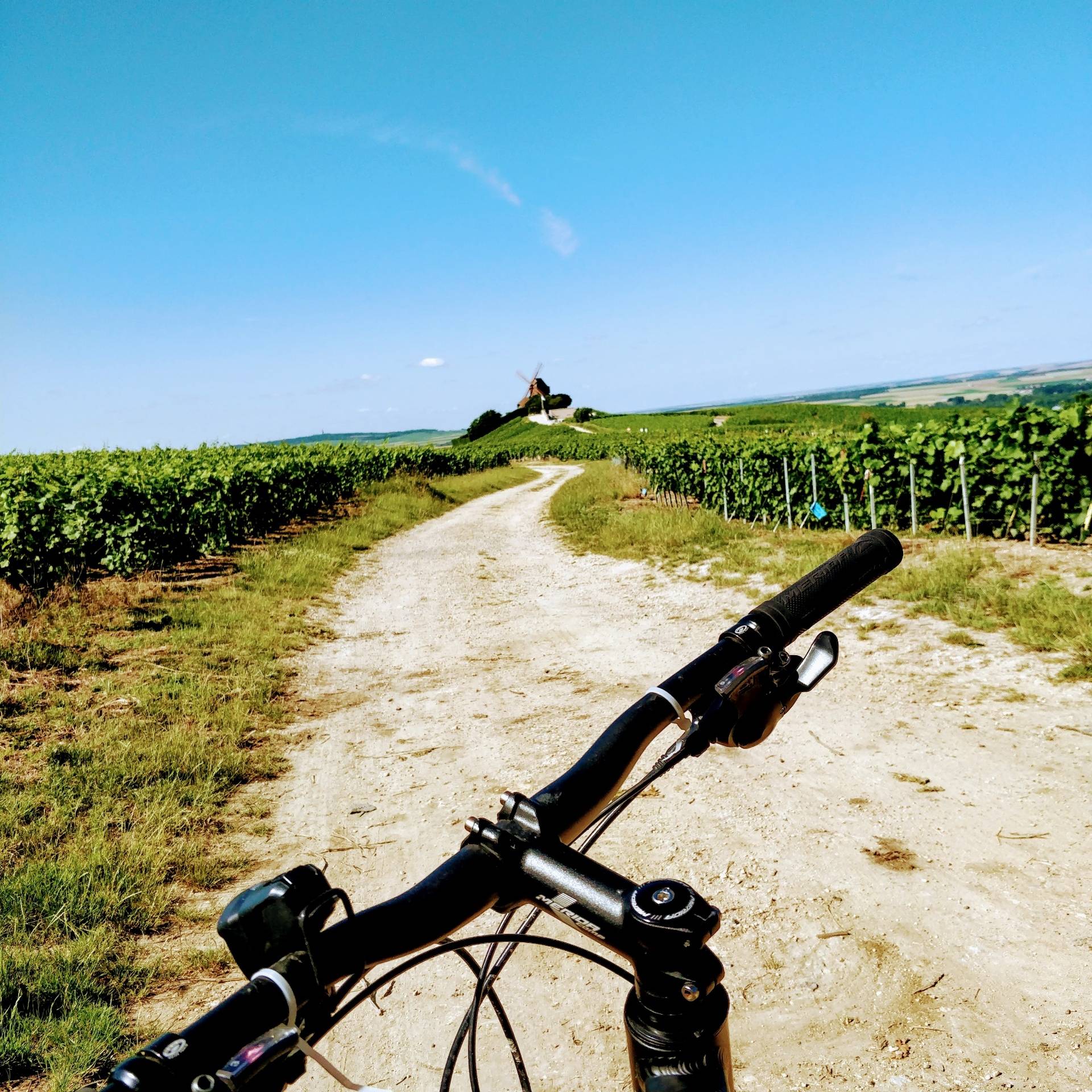 Réservez Balade à vélo en Champagne Journée complète entre vélo et