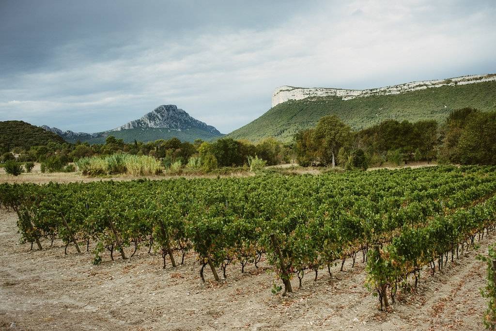 Pic Saint Loup winetour 