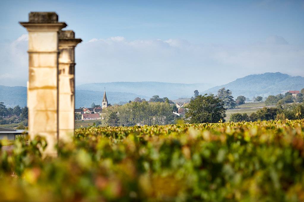  - Gateway in the vineyard