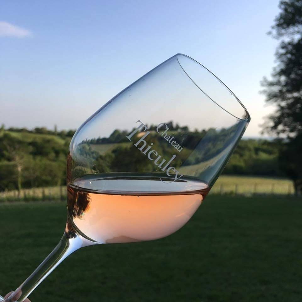 A Thursday evening in the vineyard of Château Thieuley