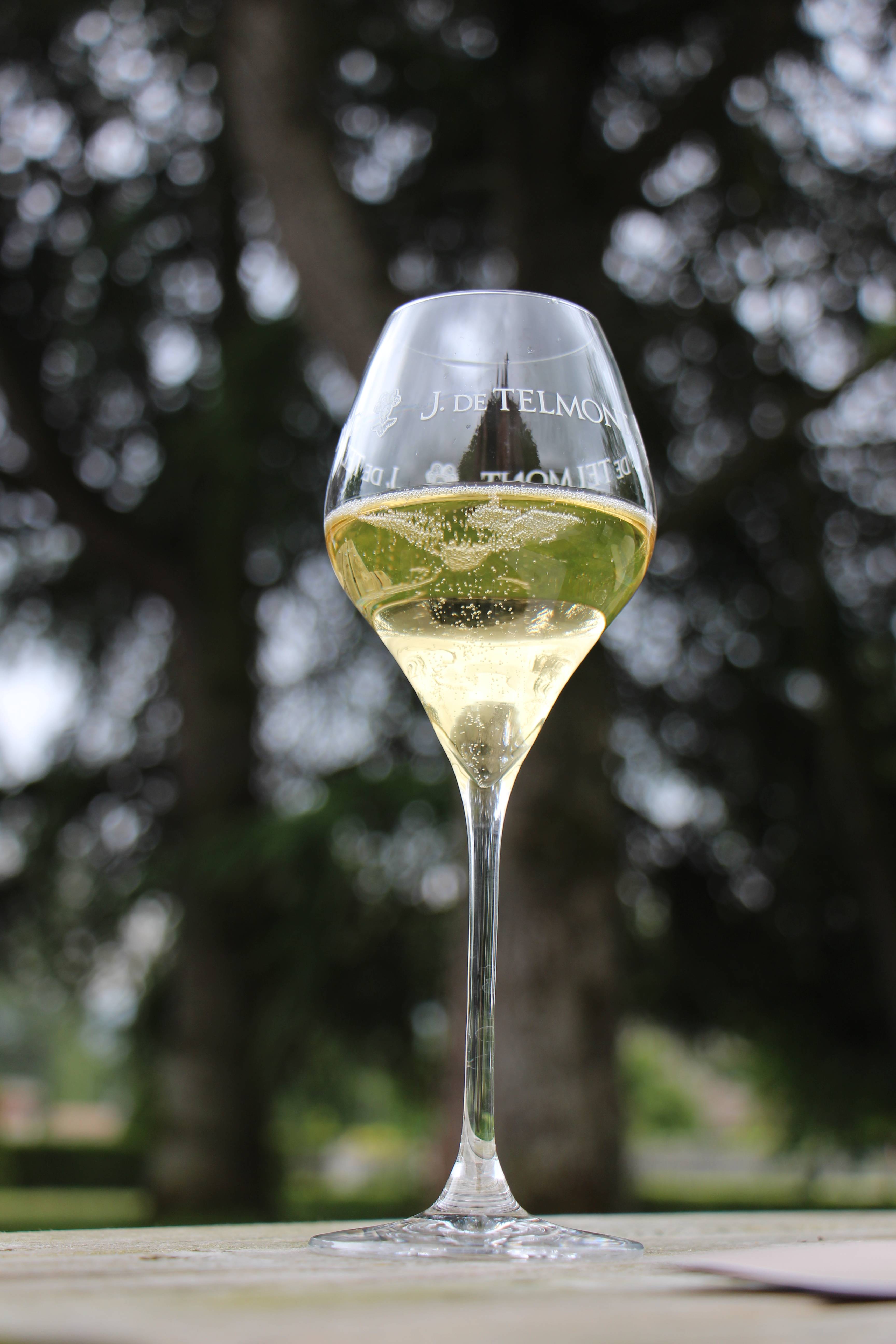  - Puzzle Hunting trail Curiocity vineyard or village