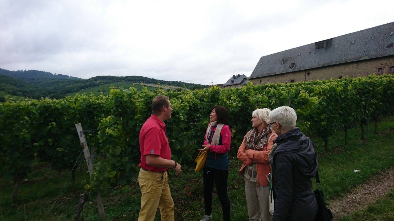 - Rheingau Wine Walking Tour