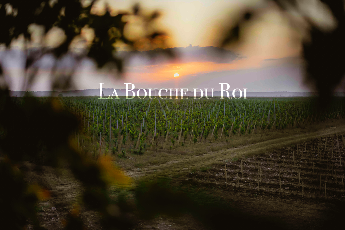 Le Domaine La Bouche Du Roi in Davron Book your visit