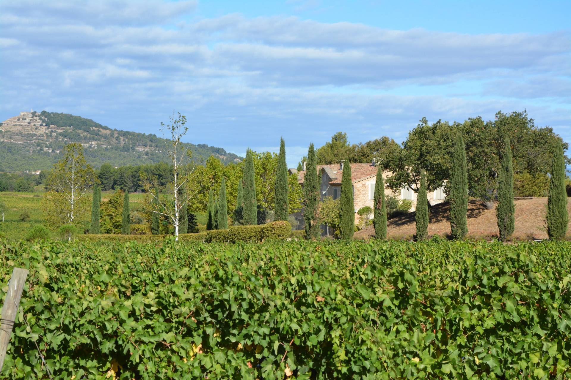 Provence Wine Discovery