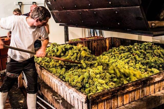 Champagne Joseph Desruets 