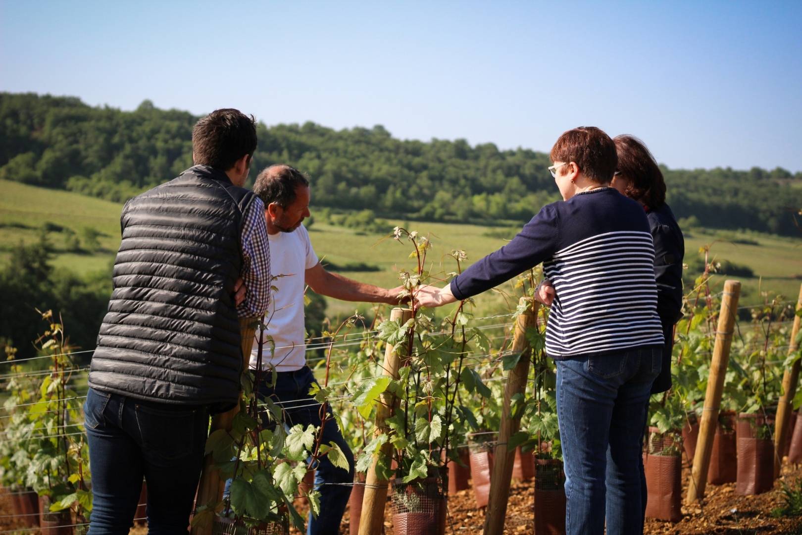 Wine Getaway and picnic