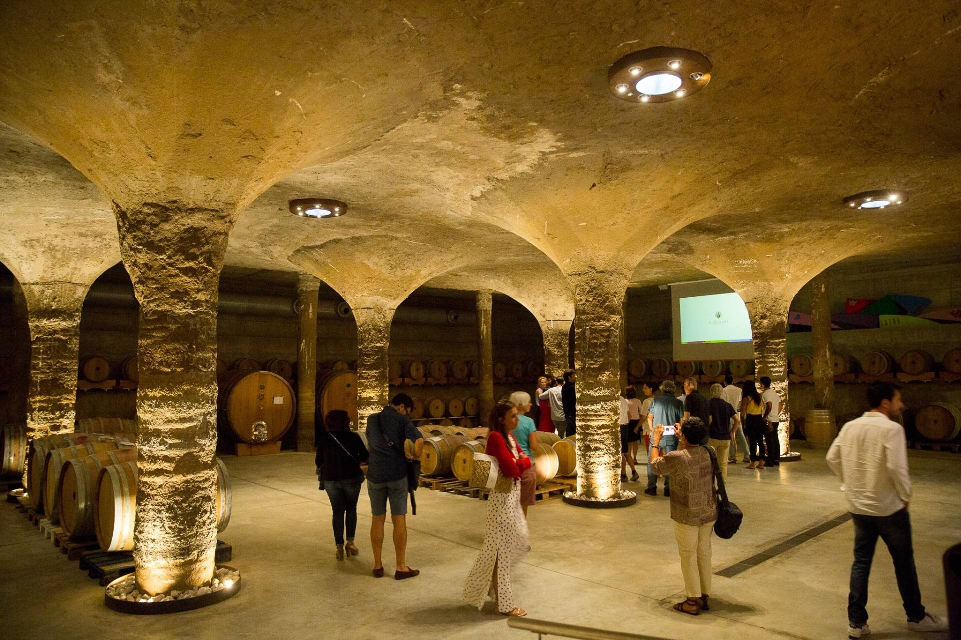 Castellaro-upplevelse: besök och provsmakning