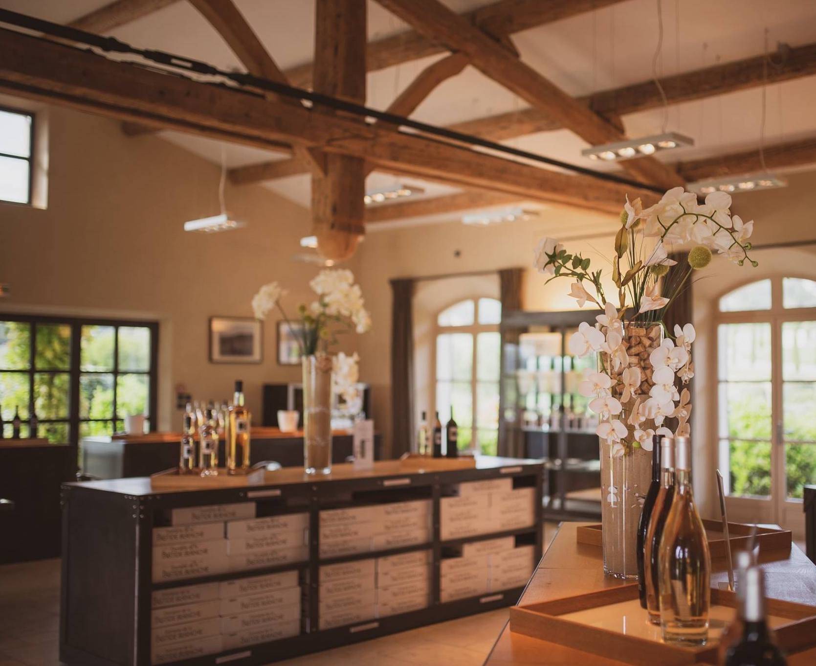  - Golfe de Saint Tropez Wine Tour 1/2day