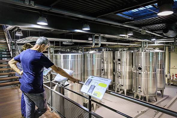  - Gardens and paradise of tastes and behind the scenes of winemaking