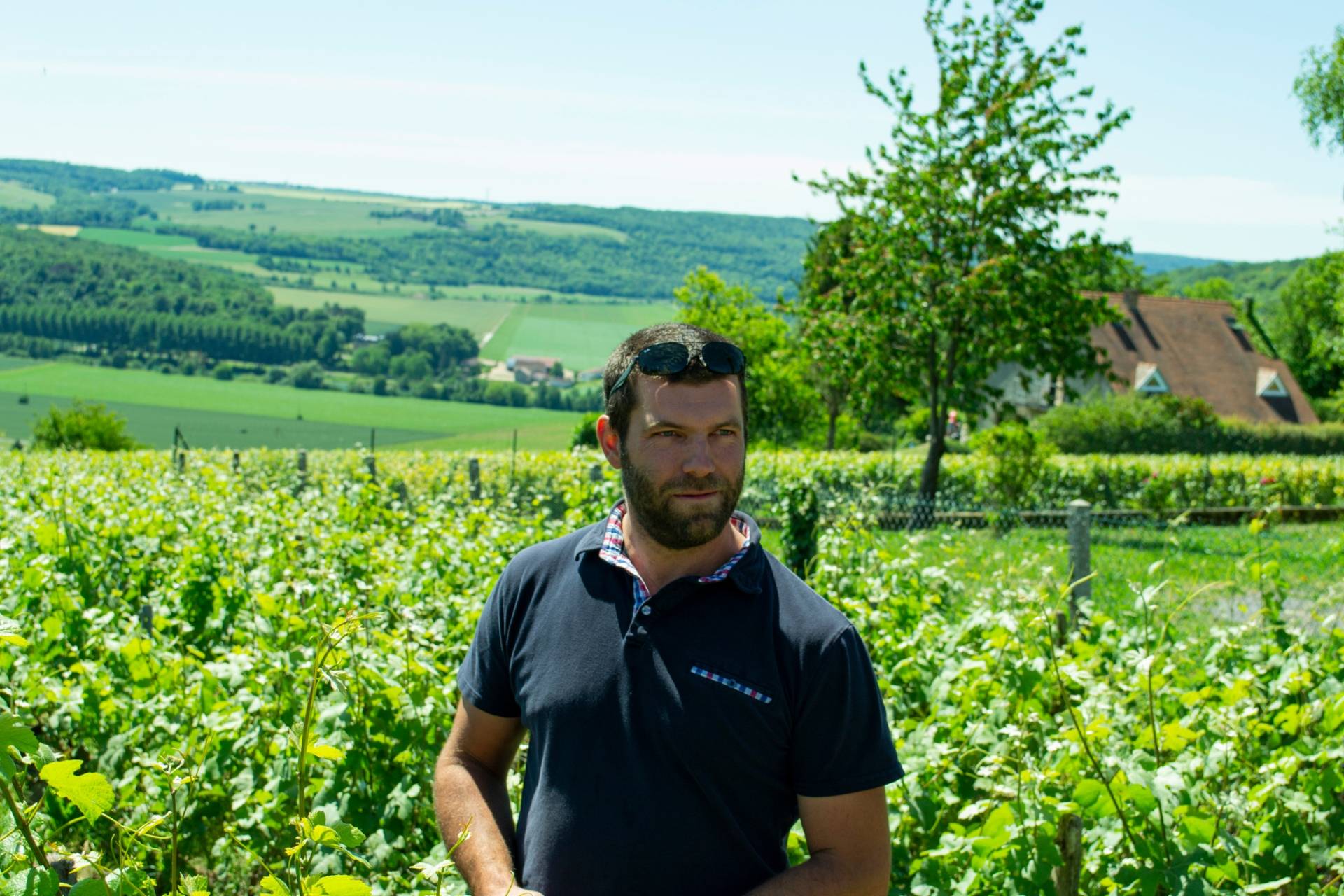 Viininviljelijän jalanjäljissä