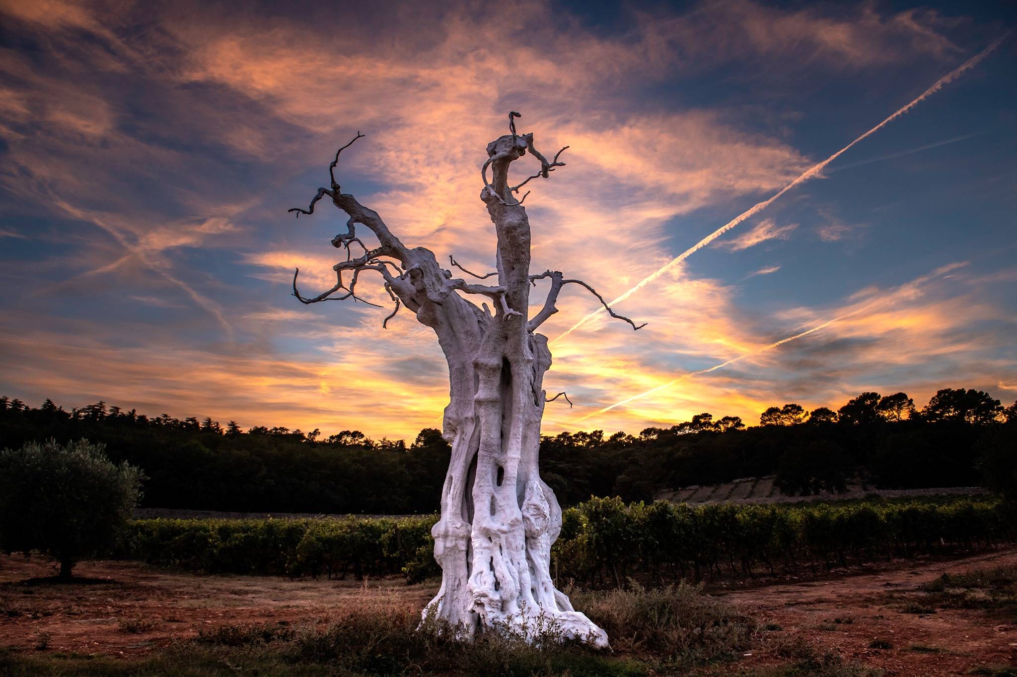  - Free visit to the sculpture park on foot