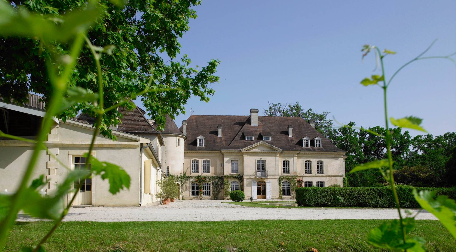 Discover the vineyard and cellars