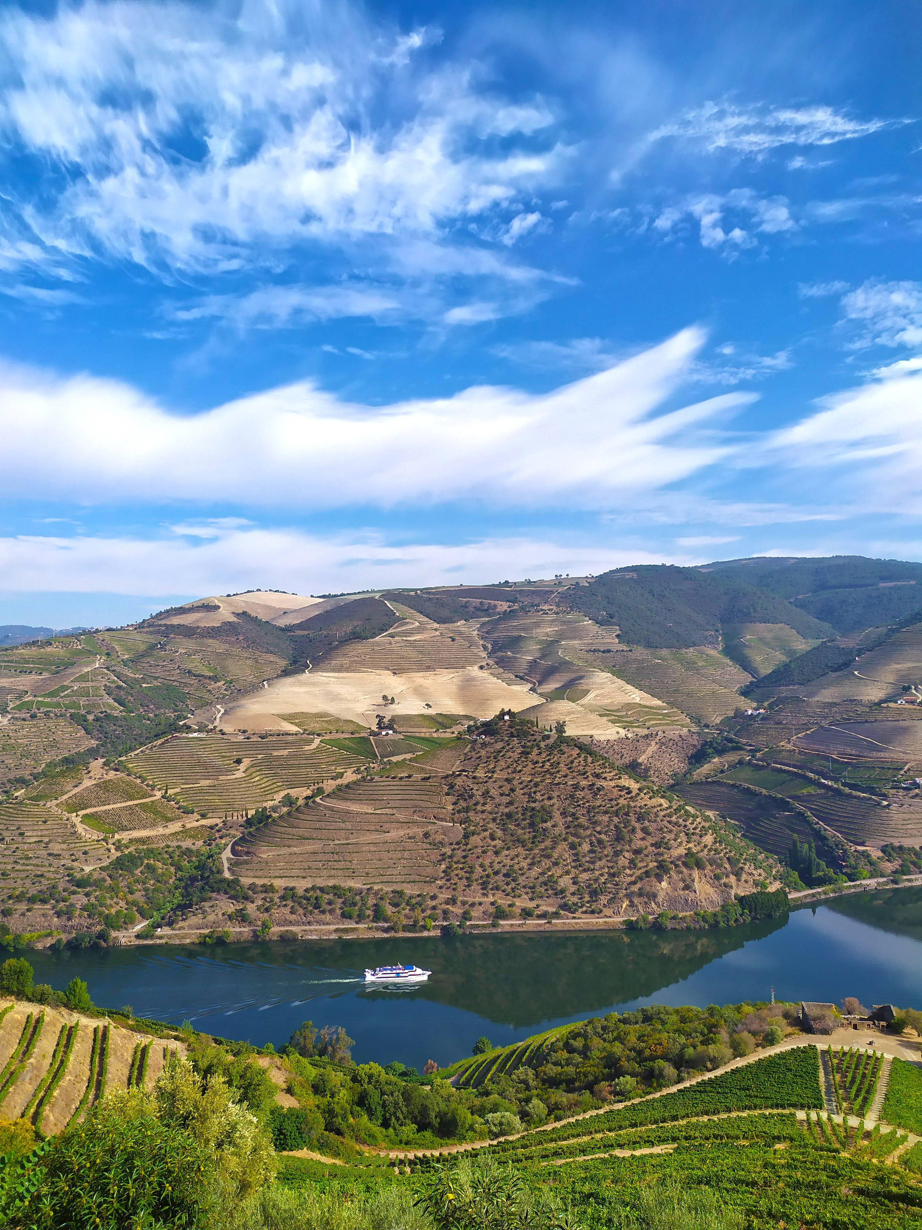  - Wine Venture & Boat Trip in Douro Valley