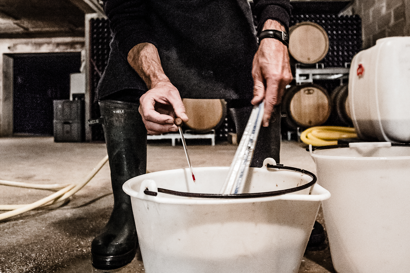 Dans les Pas d'un Vigneron