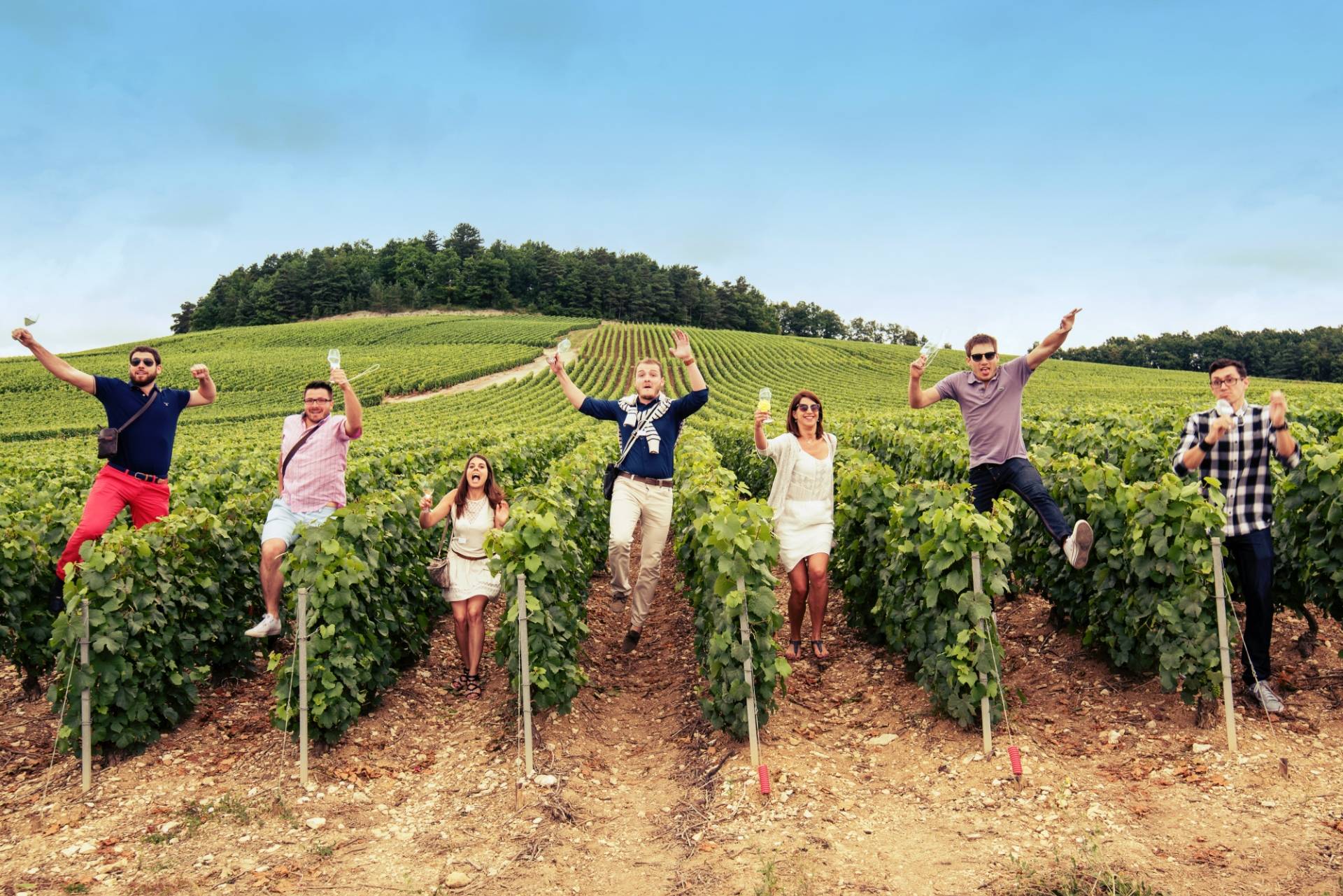 Champagne Albert Beerens