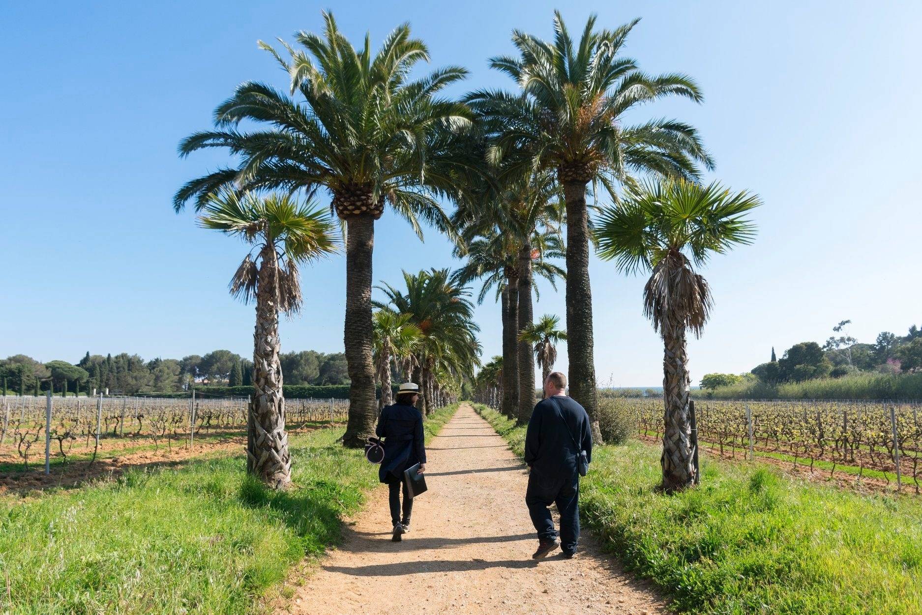 Walk between sea and vine