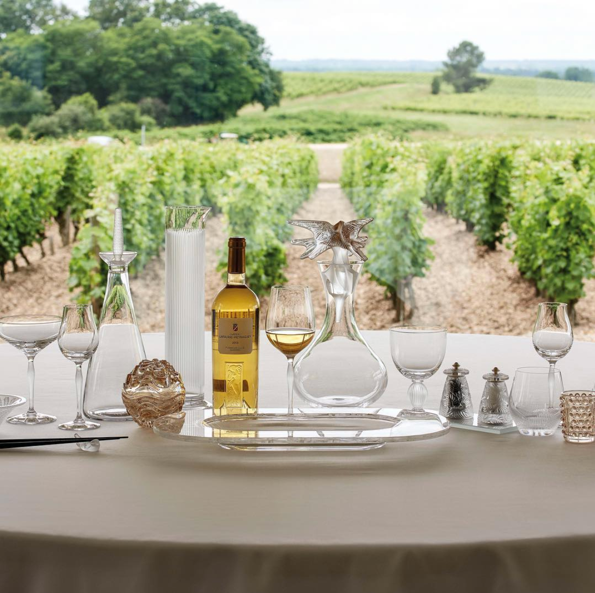  - Wine & food pairing visit by a Michel starred chef 