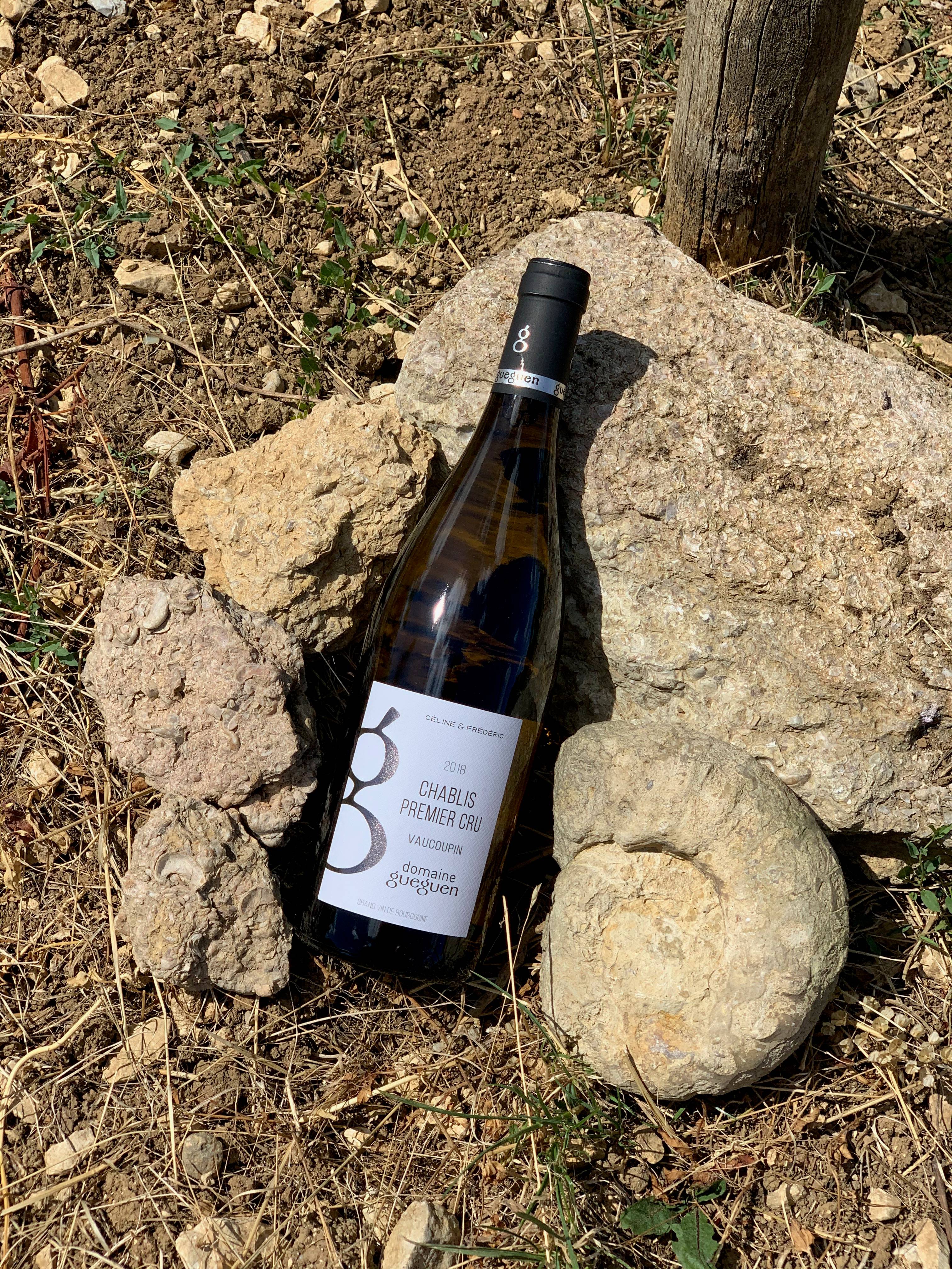  - Tour & tasting with "gougères"