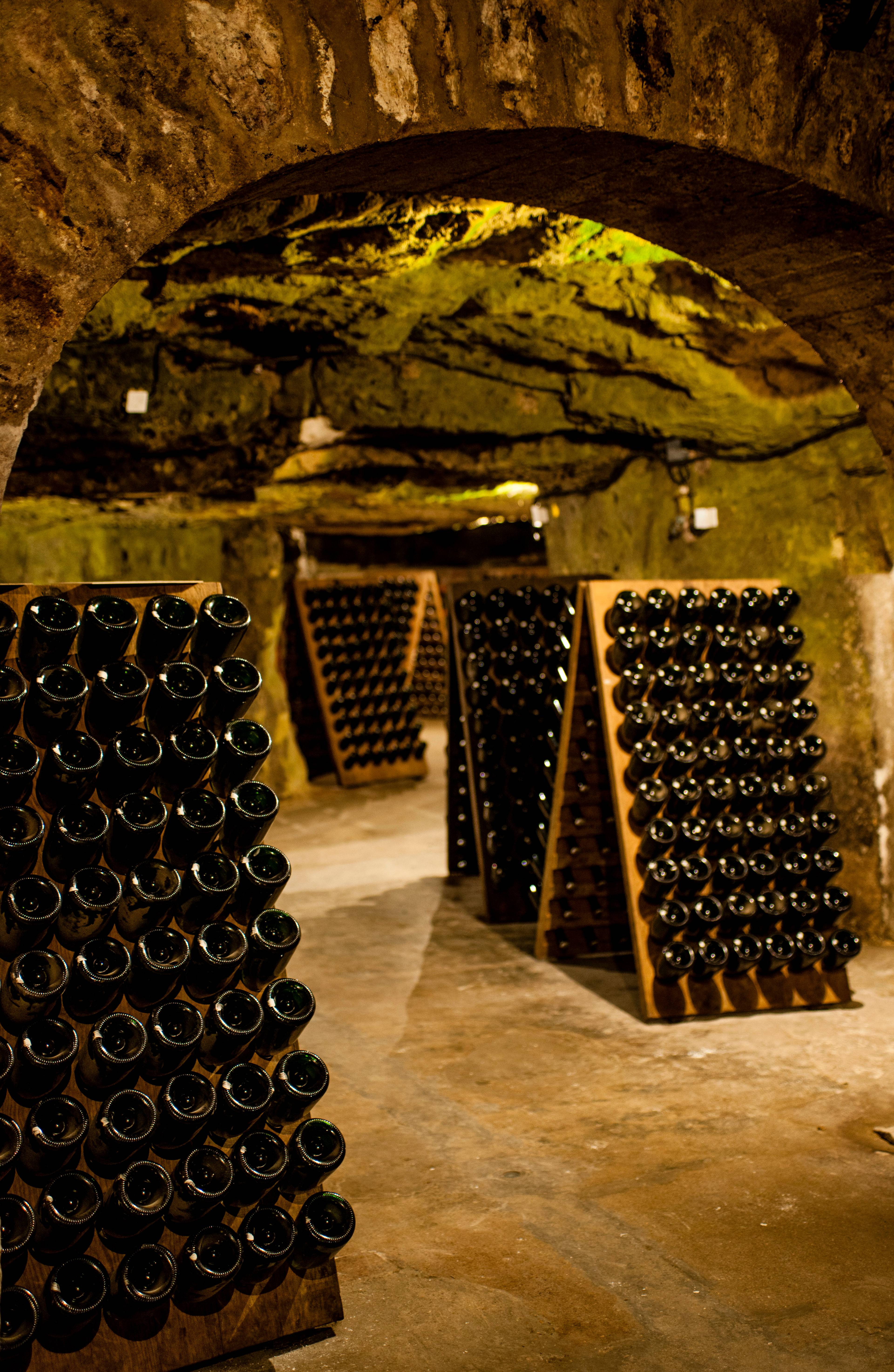  - Visit and tasting of 3 cuvees