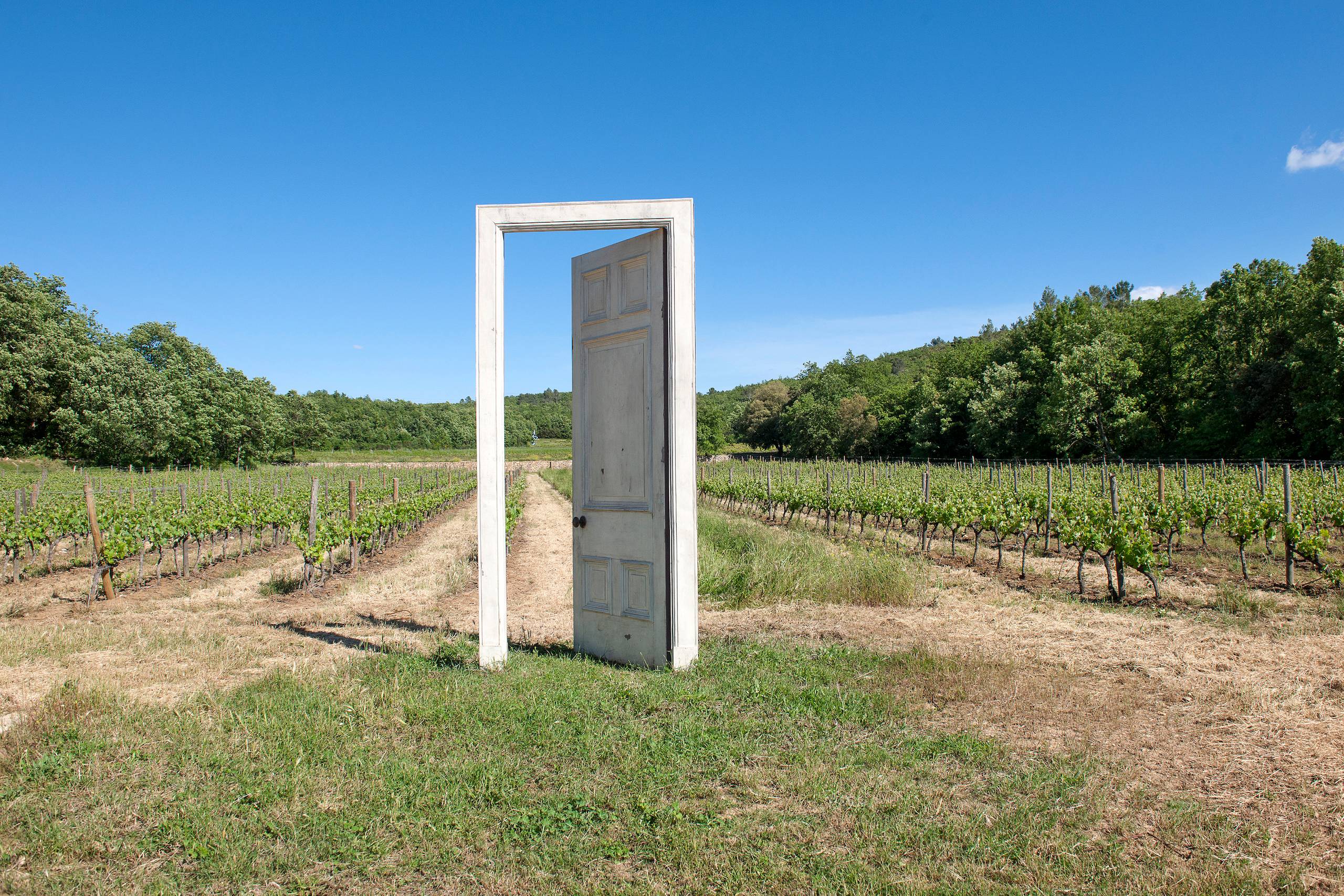  - Discover the domaine and the sculpture park in a horse-drawn carriage