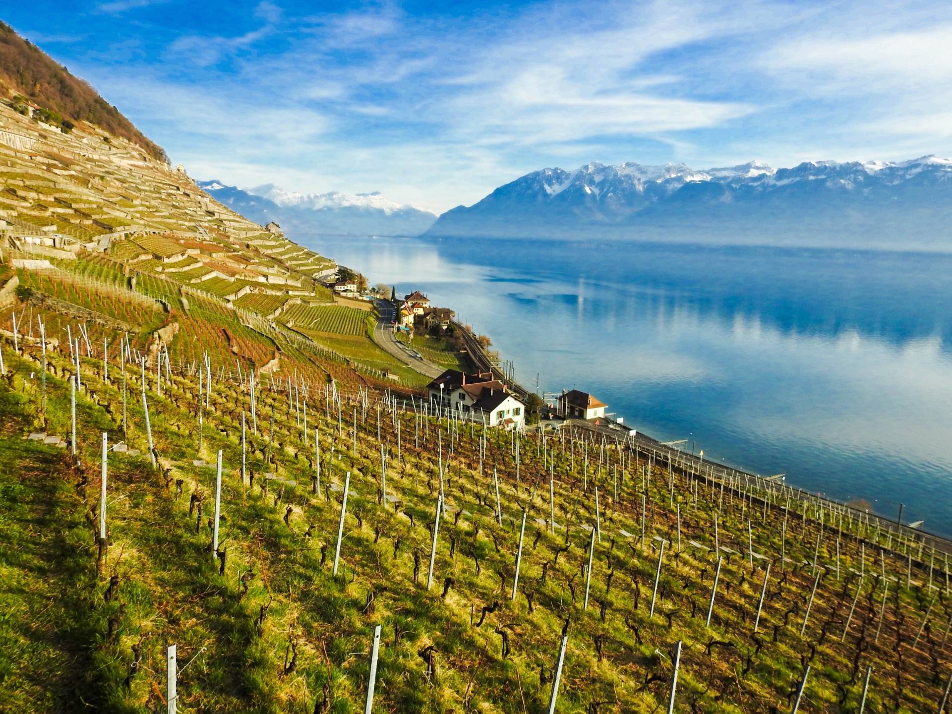 Winemax - Exclusive Wine Tours