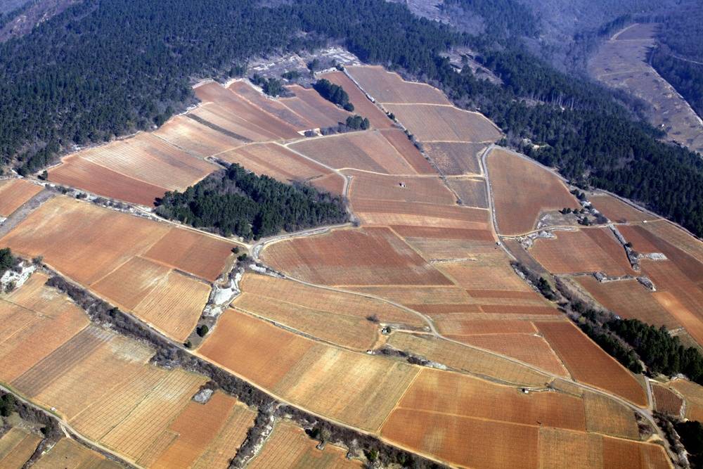 Au pied de la Colline de Corton, une journée au coeur des Grands Crus